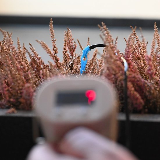 Automaattinen kukkakastelu (6kpl) - Sulje napsauttamalla kuva
