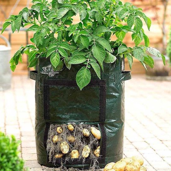 Planting Bag - Kannettava viljelylaatikko - Sulje napsauttamalla kuva